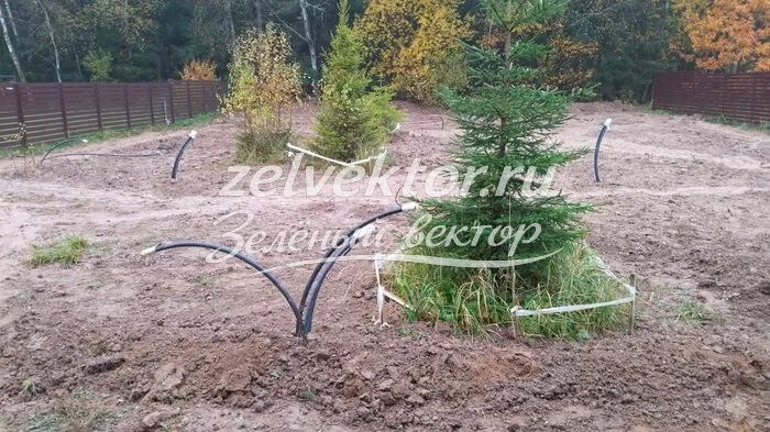 Автополив вокруг деревьев на участке