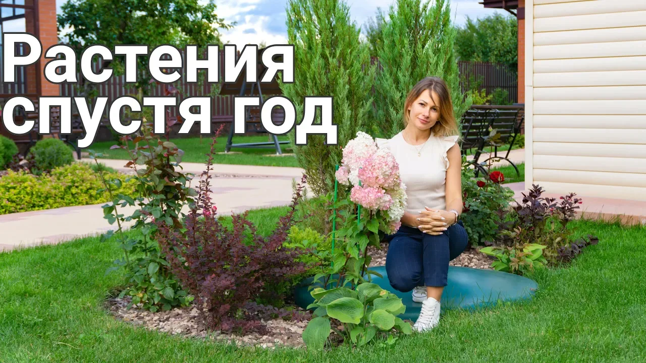 Обложка видеоразбора: Сад через год после посадки: зимовка растений и корректировка ухода